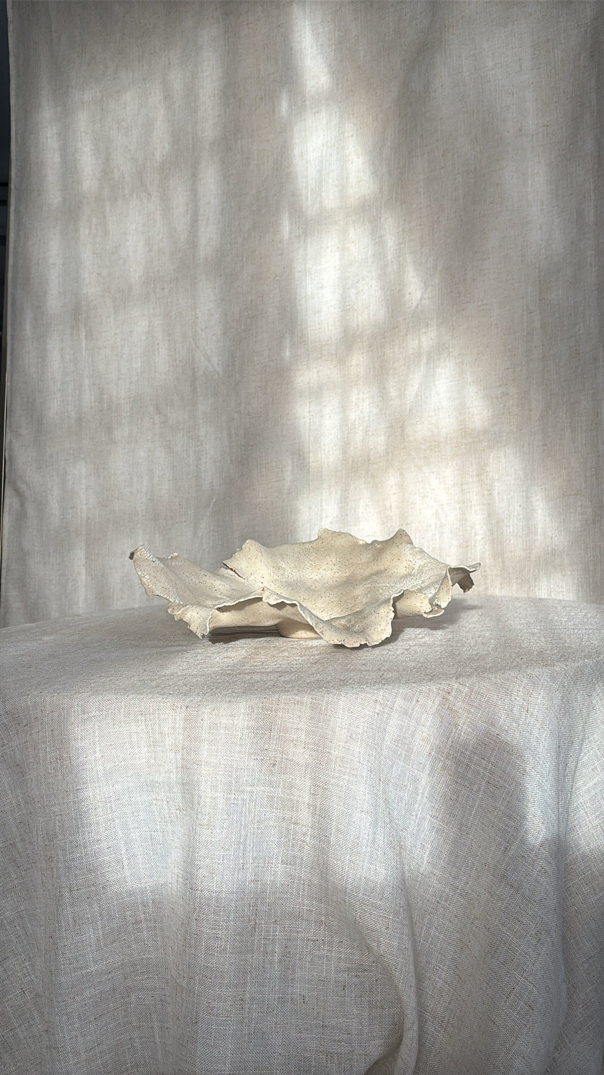 Capullo de Luz