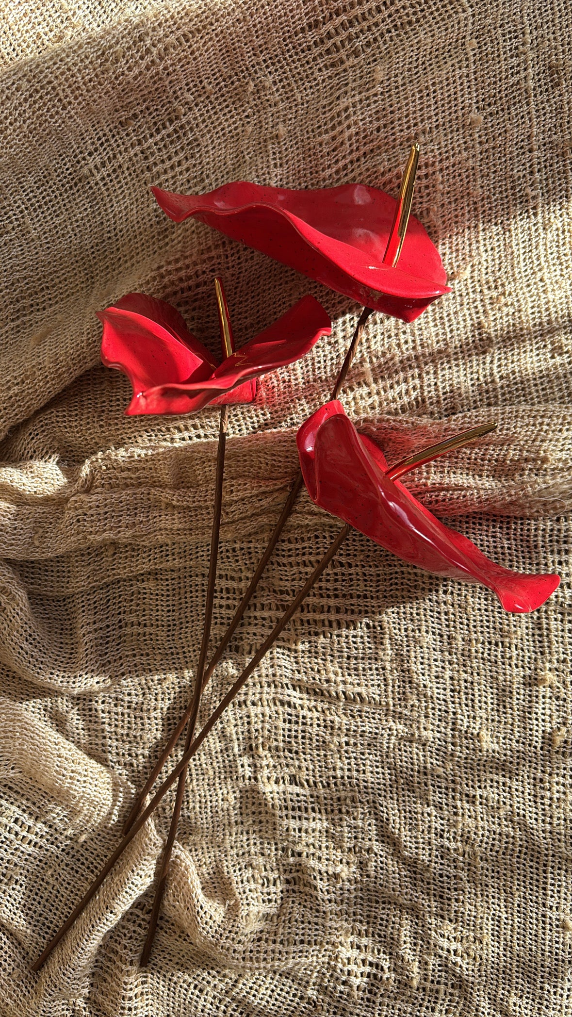 Anturio Rojo