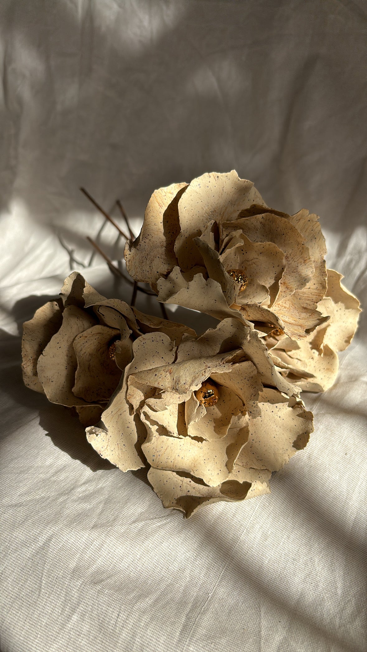 Flor Crema
