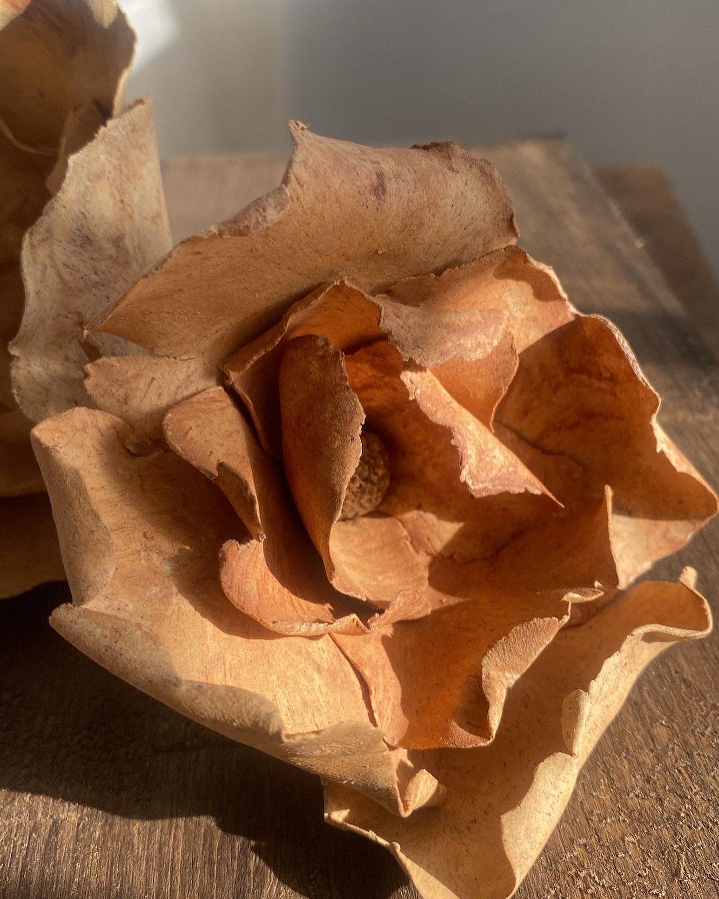 Flores Oxidadas