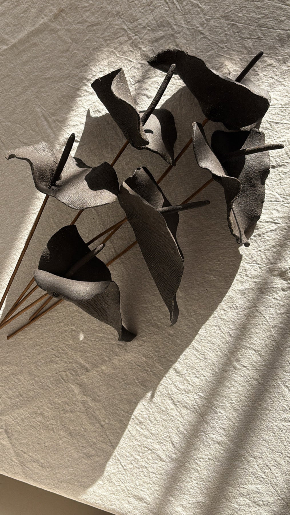 Anturio Dark Brown