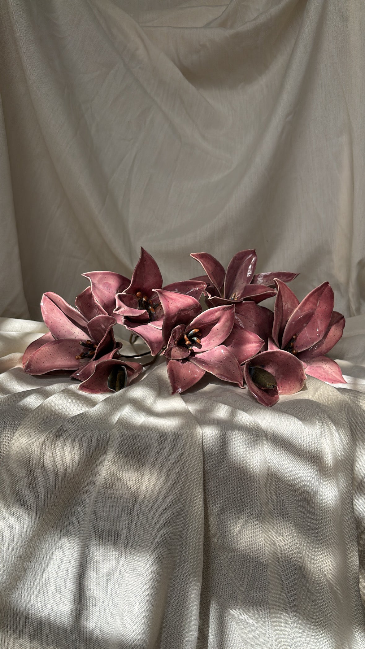 Lilies
