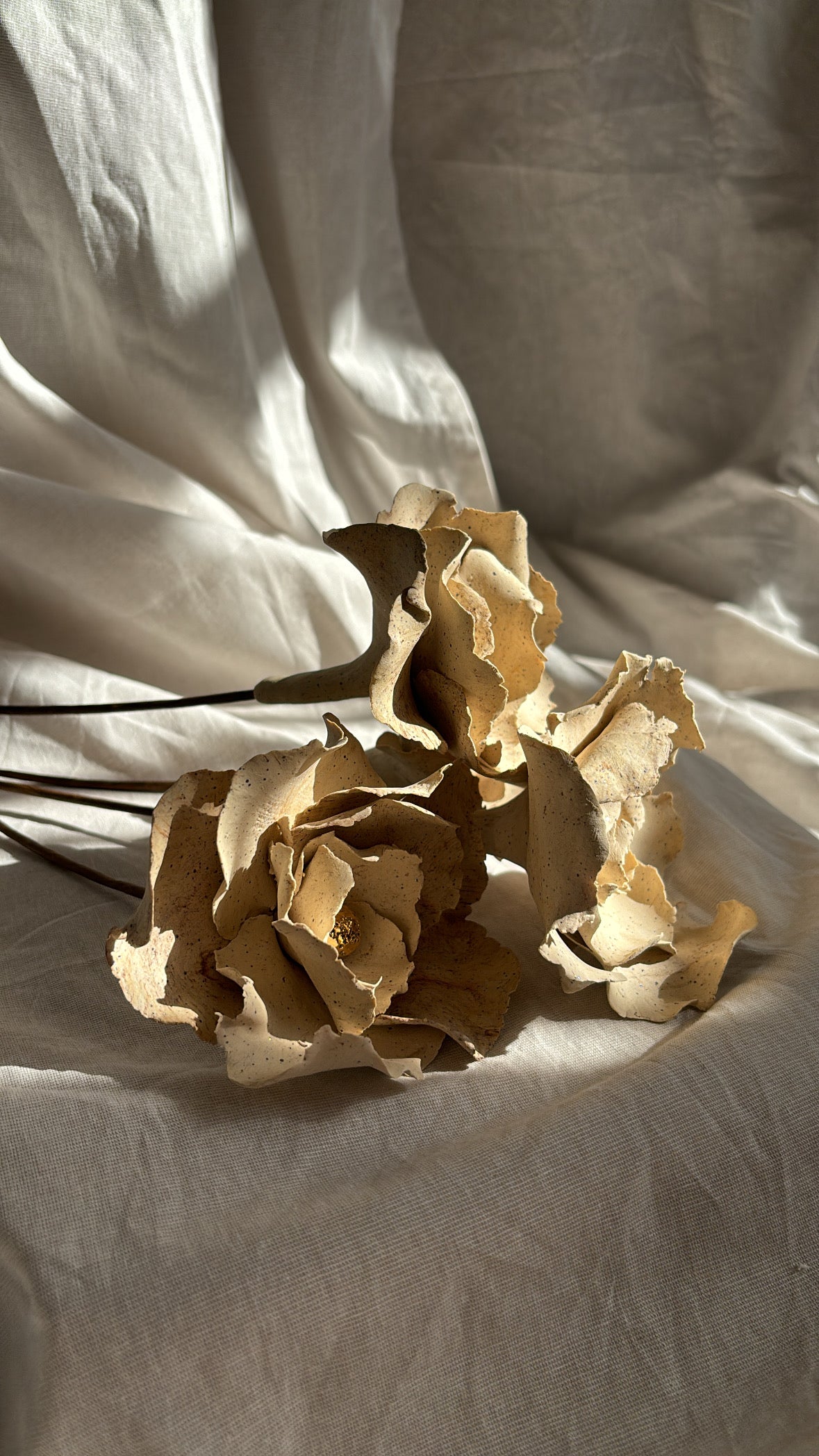Flor Crema
