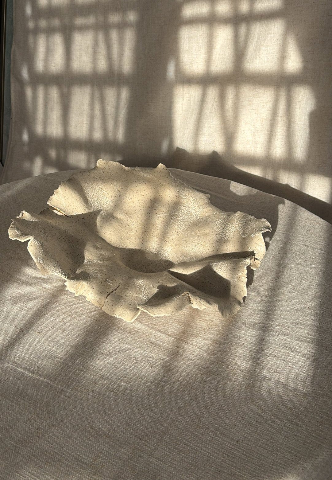 Capullo de Luz