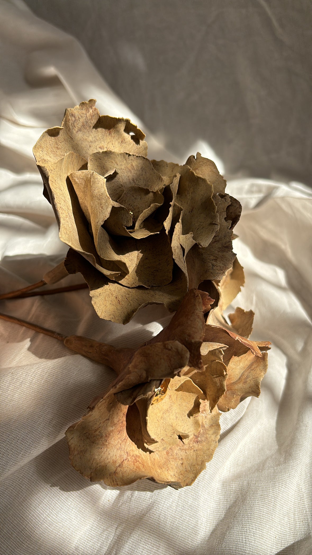 Flores Oxidadas
