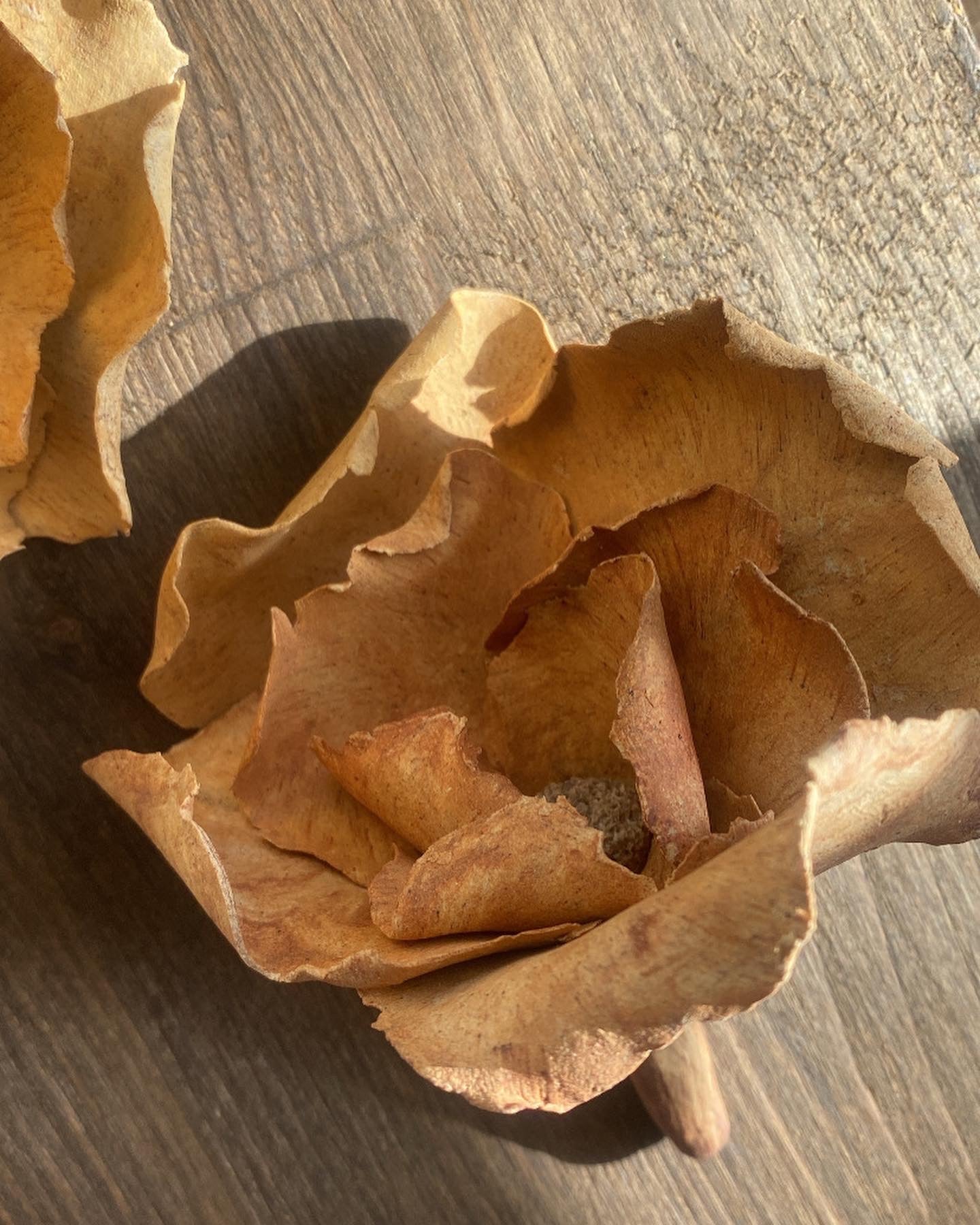 Flores Oxidadas