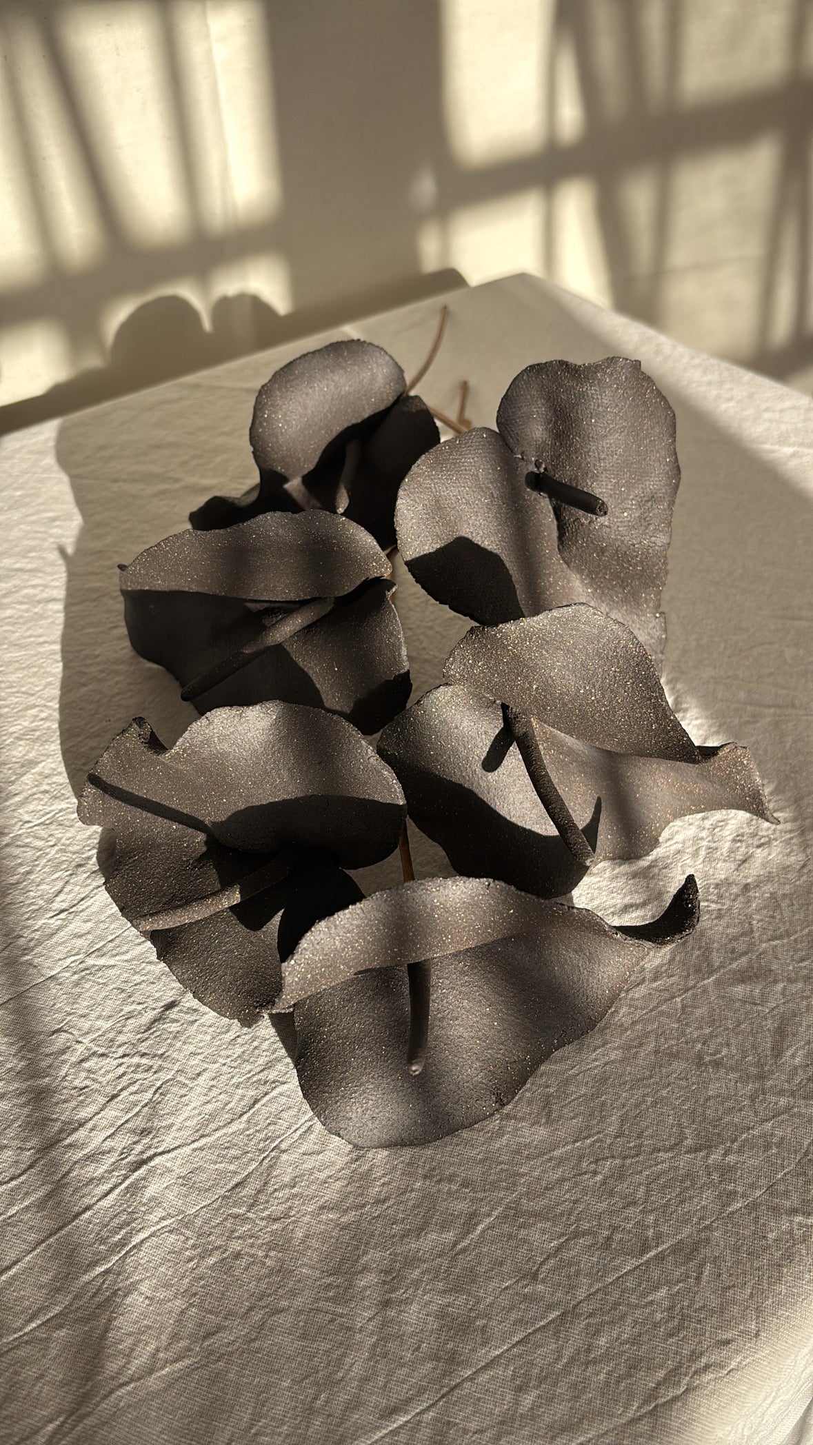 Anturio Dark Brown