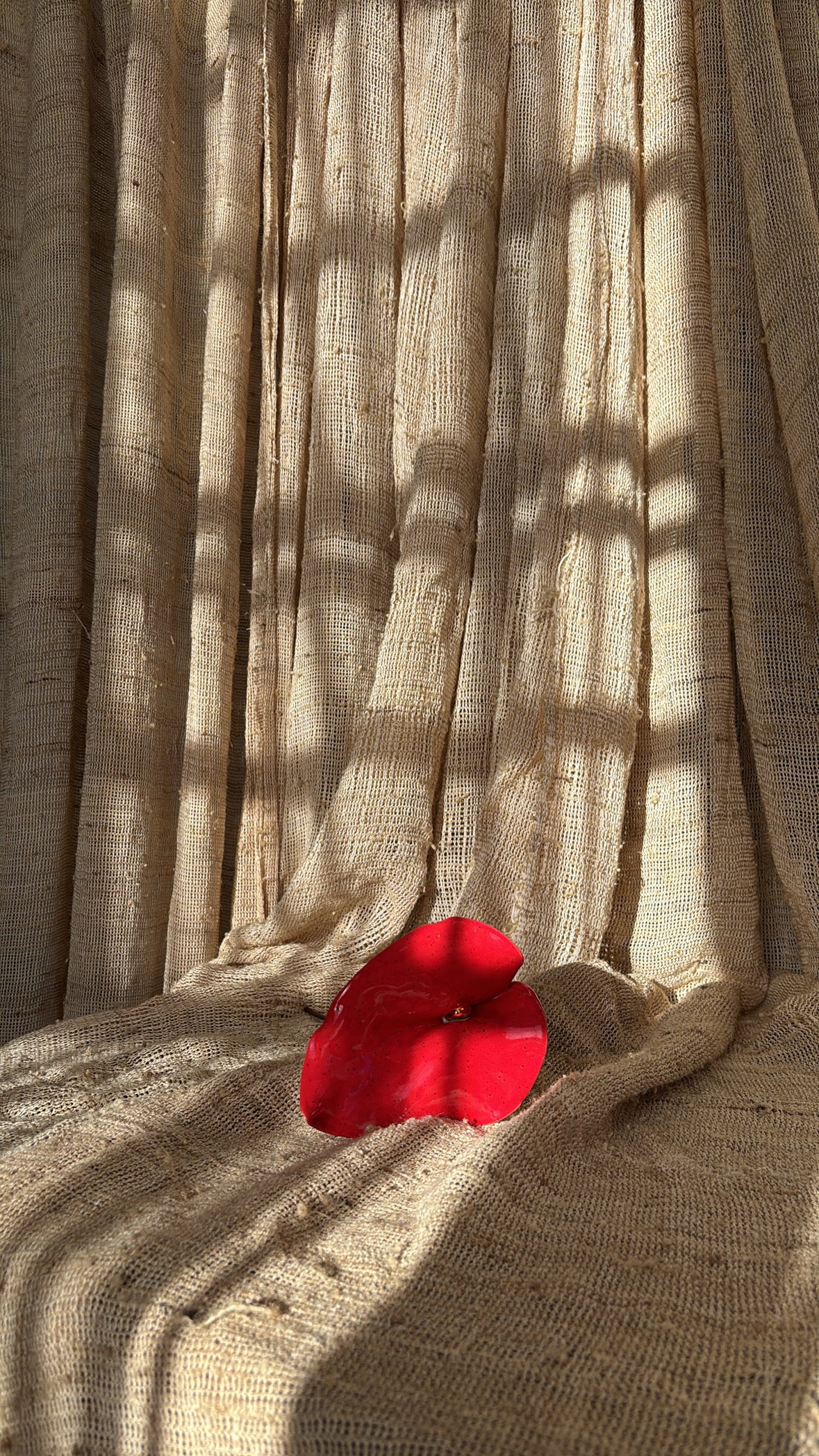 Anturio Rojo