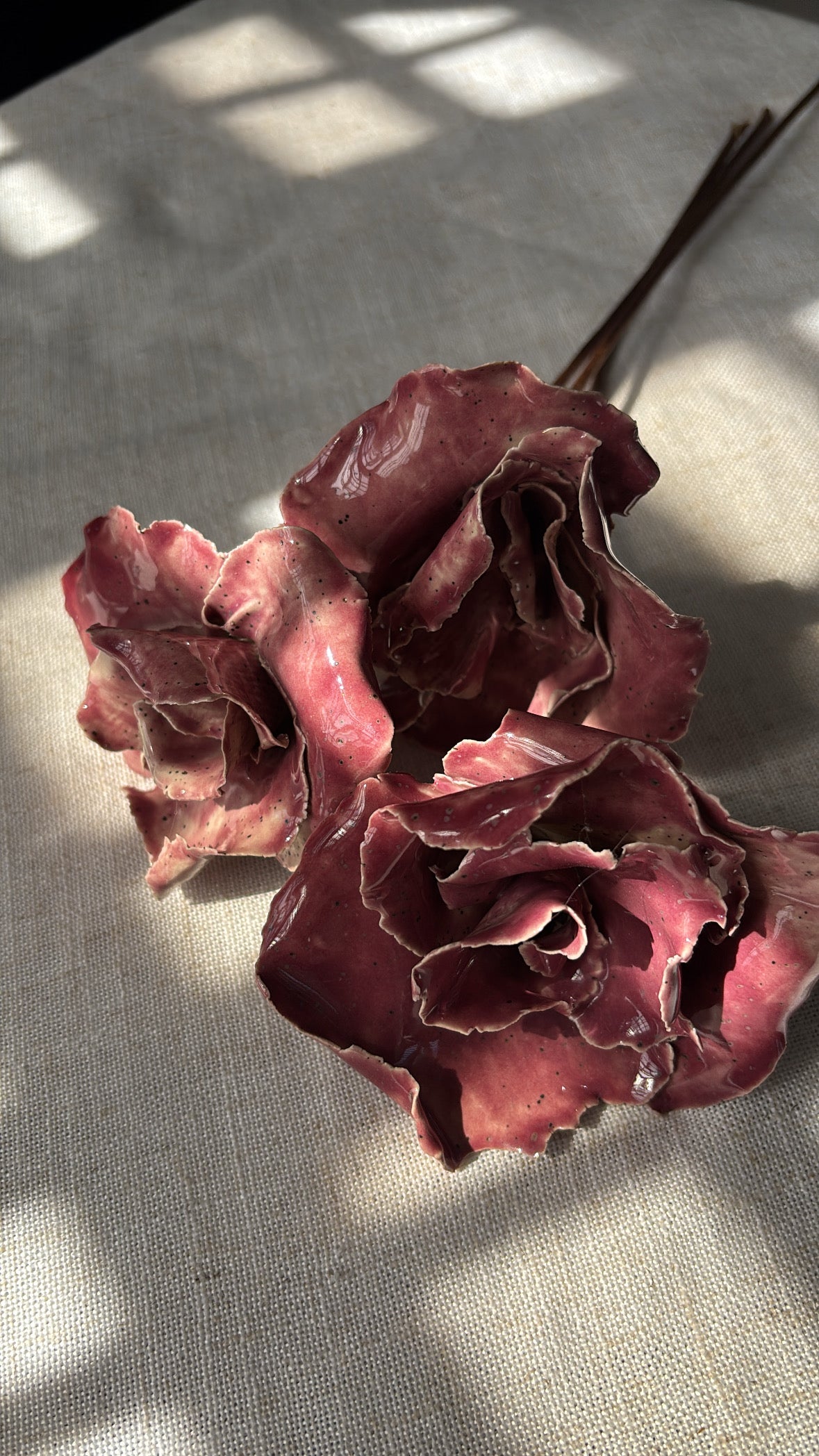 Rosas Magenta