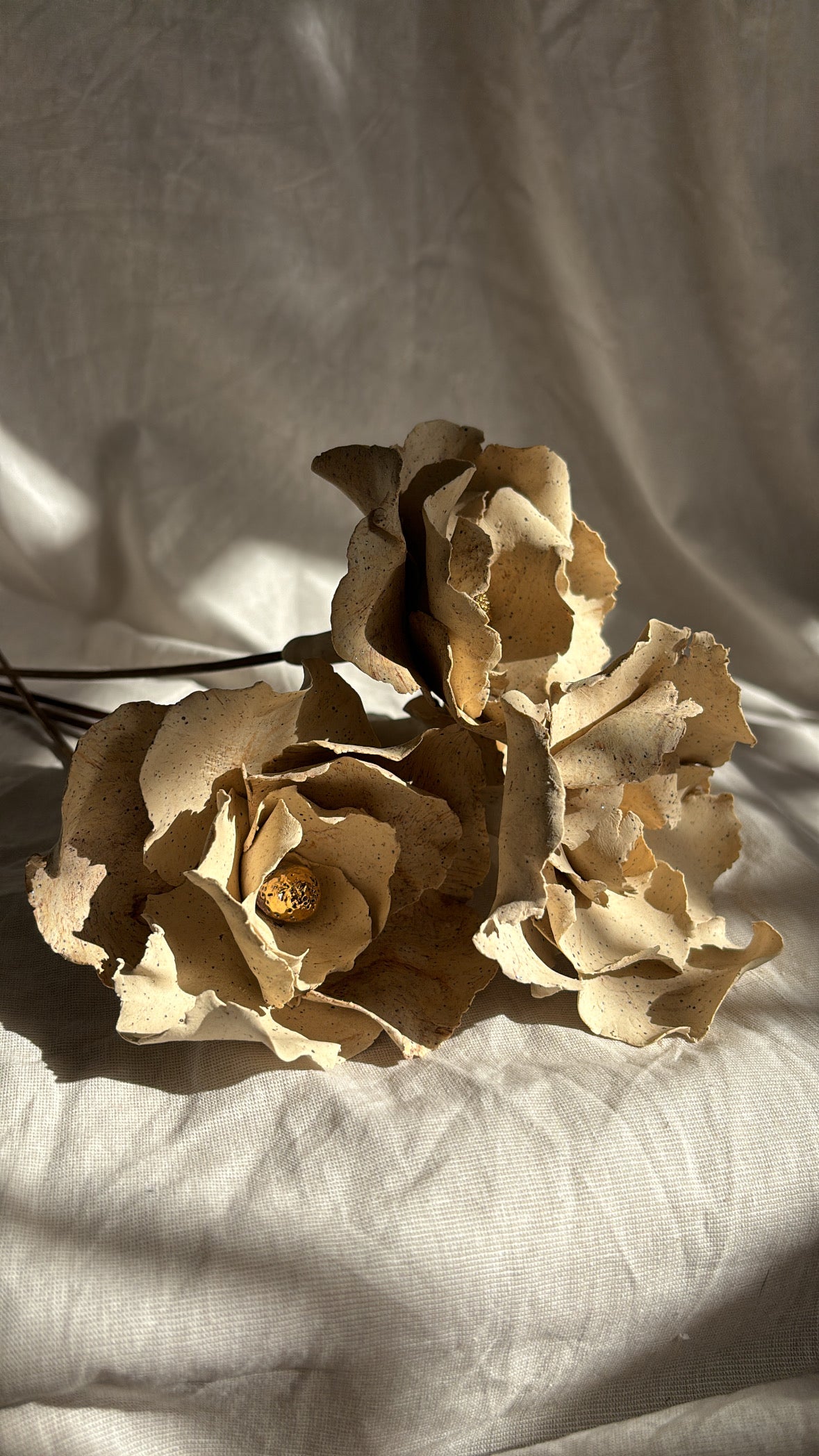 Flor Crema