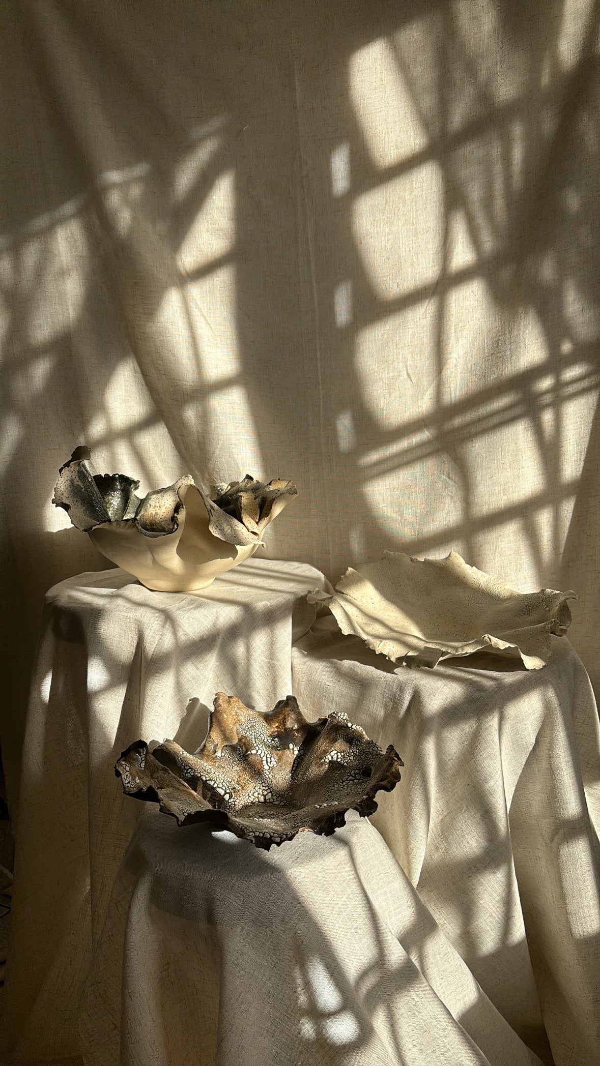 Mudar de Piel