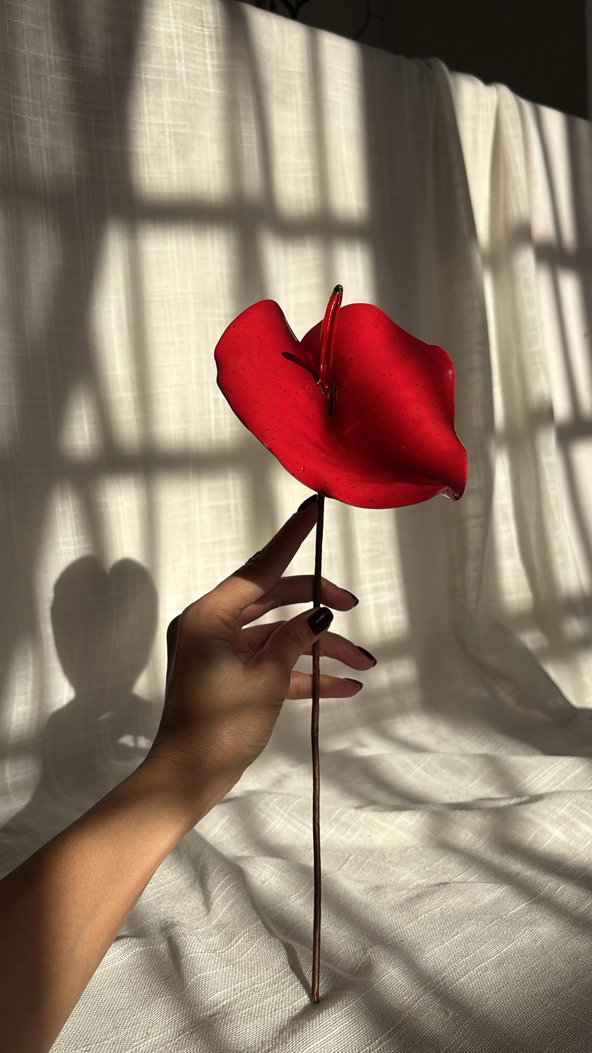 Anturio Rojo