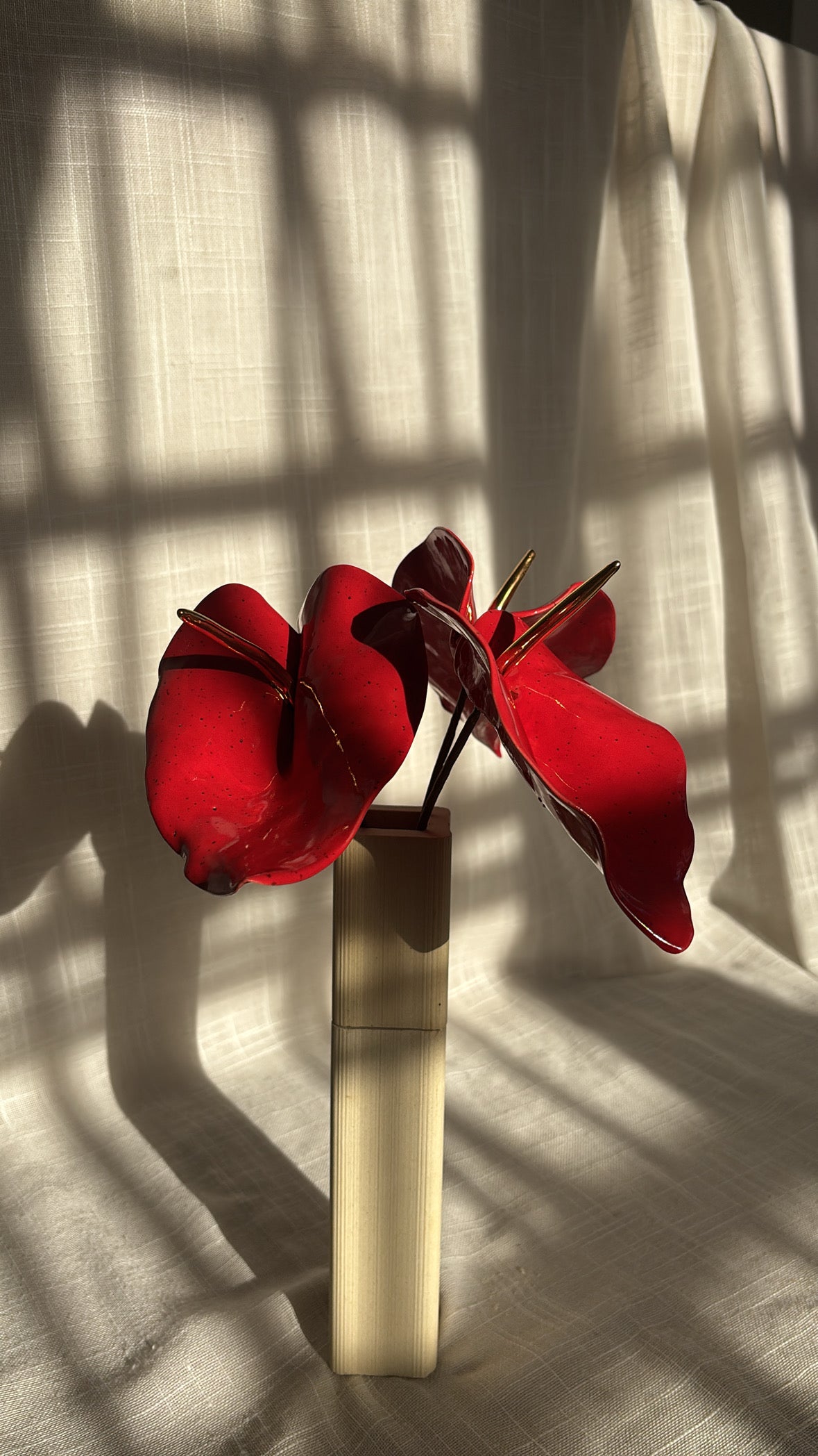 Anturio Rojo