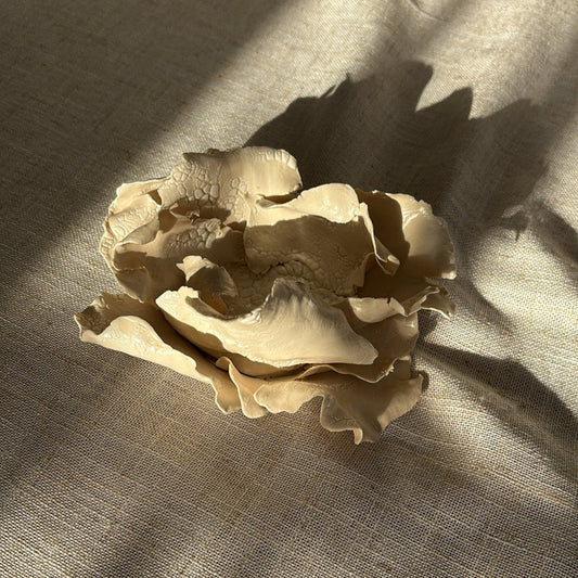 Flor Portador de vela