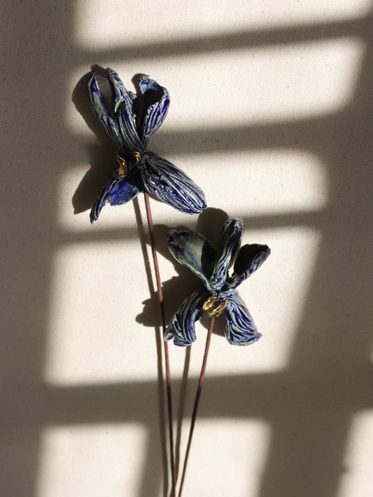 Orquideas Azules