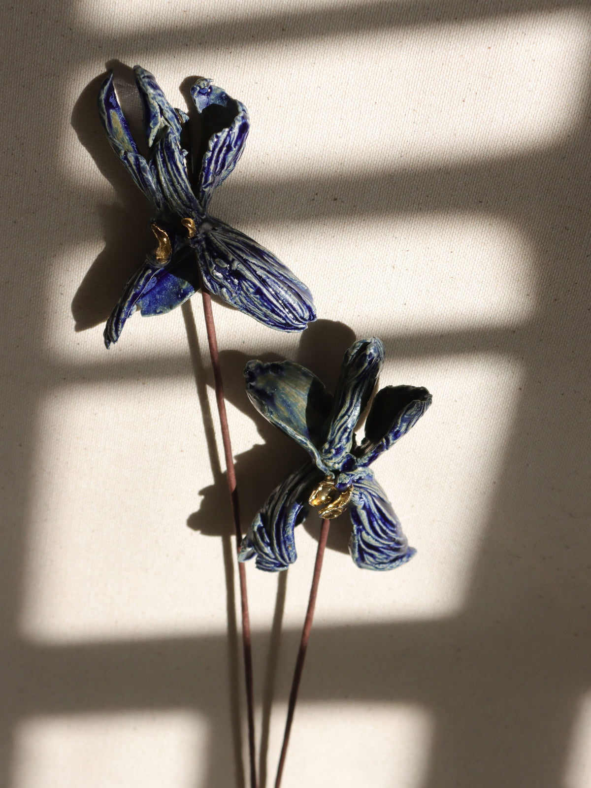 Orquideas Azules