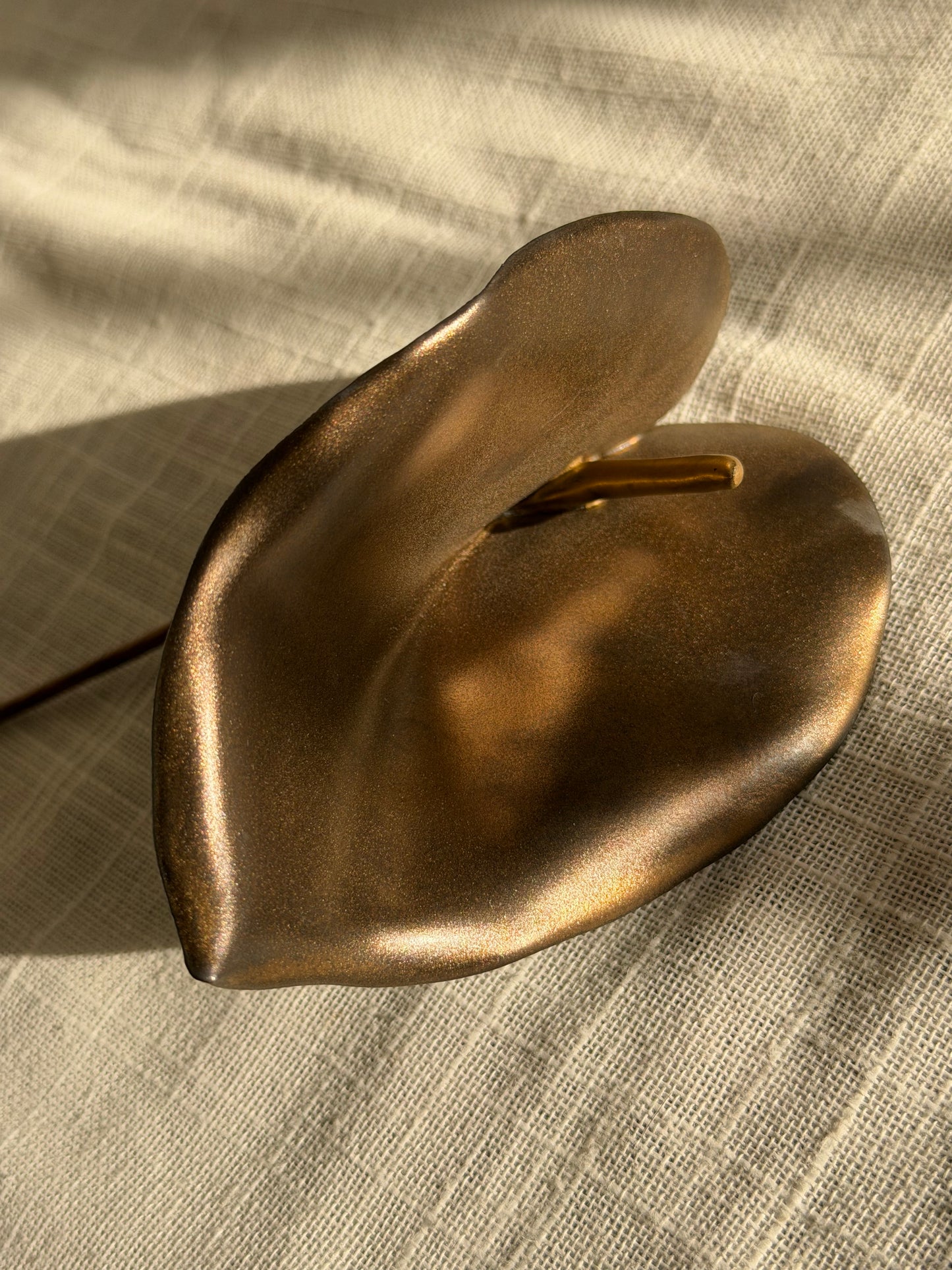 Anturios bronce