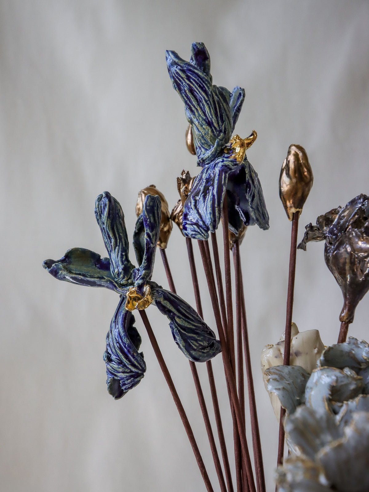 Orquideas Azules